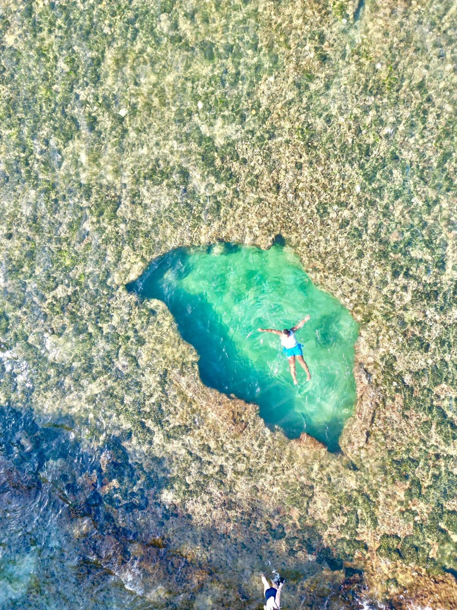 Oso Perezoso Pool Villa Puerto Viejo de Talamanca Dış mekan fotoğraf