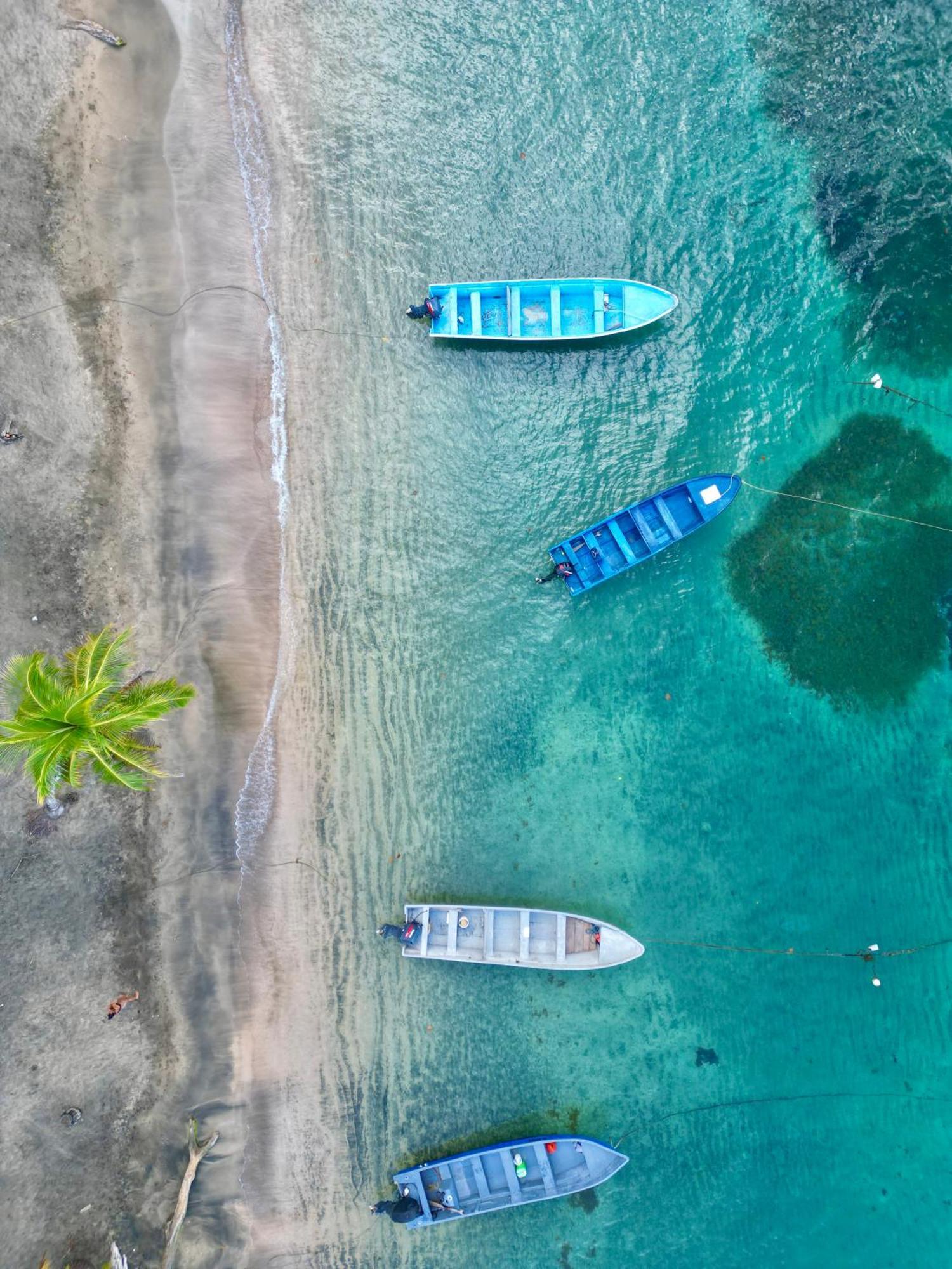 Oso Perezoso Pool Villa Puerto Viejo de Talamanca Dış mekan fotoğraf